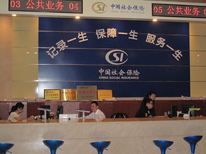 深圳社保代辦與代繳服務(wù)全解析 價(jià)格、選擇與合規(guī)指南